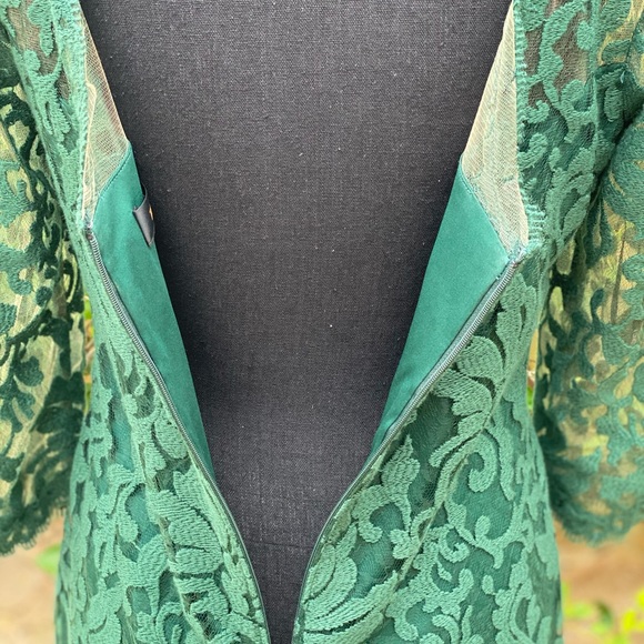Tadashi Shoji Green Lace Embroidery Dress Size 6, Elegance, Details, Formal - Picture 6 of 7